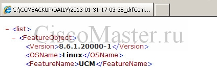 arhivirovanie_i_vosstanovlenie_cisco_call_manager_cucm_drfcomponent_ciscomaster.ru.jpg