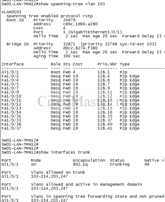 bezopasnost._nachalo_08._vlan_i_trunking_03_ciscomaster.ru.jpg