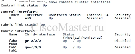 juniper._srx_i_klasterizaciya_04_ciscomaster.ru.jpg