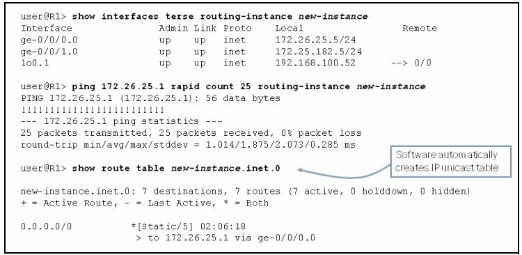 juniper_srx_i_vrf04_ciscomaster.ru.jpg